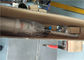 Le transfert pneumatique de mousse de jet pompe le matériel de corps de l'acier inoxydable 304 fournisseur